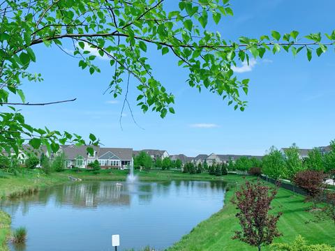 3199 Coral Ln, Glenview, IL 60026 photo 17