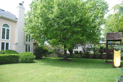 4315 Esquire Cir, Naperville, IL 60564 photo 33
