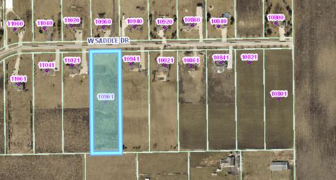 10961 W Saddle Dr, Monee, IL 60449 photo 1