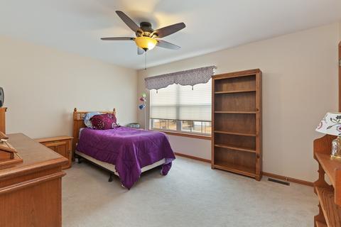 9713 Compton Dr, Huntley, IL 60142 photo 16