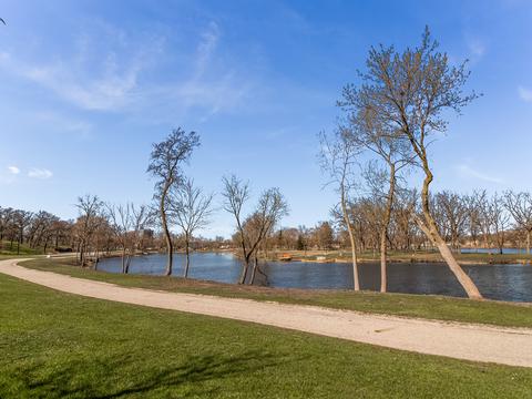 453 S Ohio St, Aurora, IL 60505 photo 23