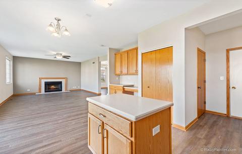 900 Plaintain Dr, Joliet, IL 60431 photo 8