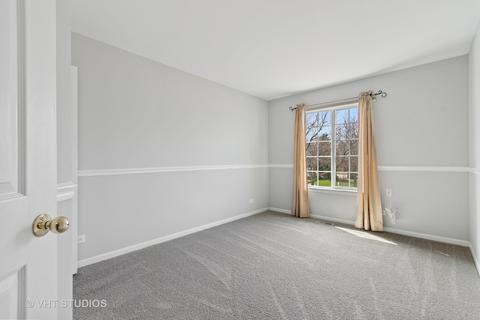 421 Cinnamon Ct, Bartlett, IL 60103 photo 20