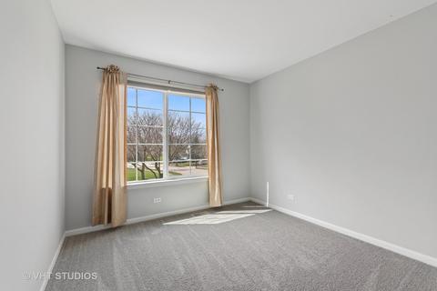 421 Cinnamon Ct, Bartlett, IL 60103 photo 21