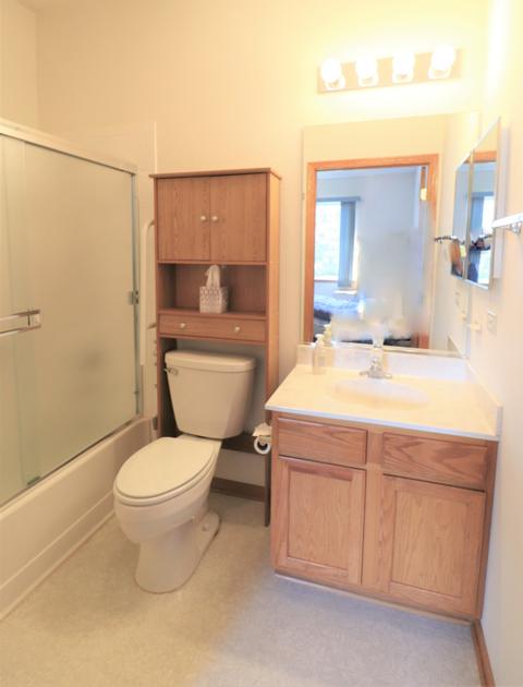 20820 W Honeysuckle Ct, Plainfield, IL 60544 photo 7