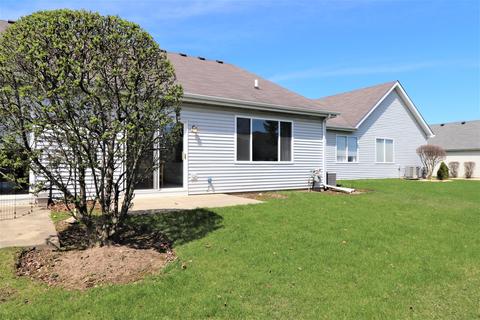 20820 W Honeysuckle Ct, Plainfield, IL 60544 photo 11