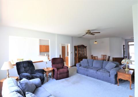 20820 W Honeysuckle Ct, Plainfield, IL 60544 photo 3