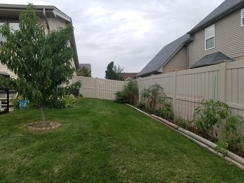 5425 Christopher Dr, Oak Forest, IL 60452 photo 41