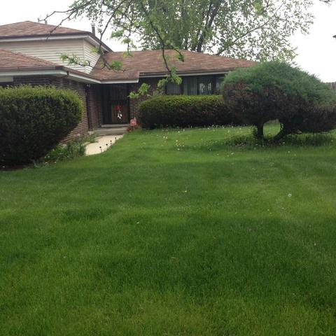 609 Old Meadow Rd, Matteson, IL 60443 photo 1