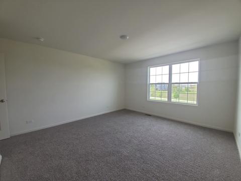 169 Winding Hill Dr, Elgin, IL 60124 photo 18
