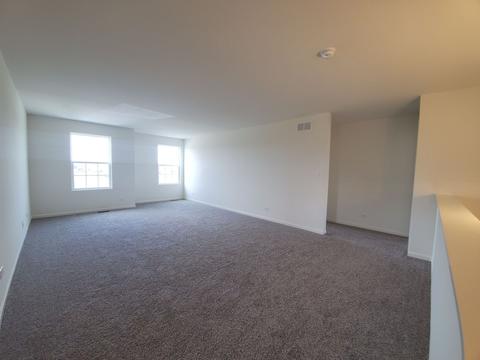 169 Winding Hill Dr, Elgin, IL 60124 photo 13