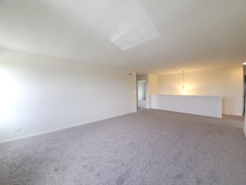 169 Winding Hill Dr, Elgin, IL 60124 photo 15