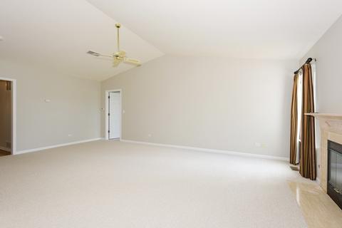 13820 S Magnolia Dr, Plainfield, IL 60544 photo 5