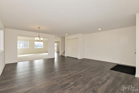 165 Hibiscus Ln, Elgin, IL 60124 photo 4
