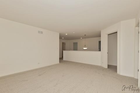 165 Hibiscus Ln, Elgin, IL 60124 photo 14