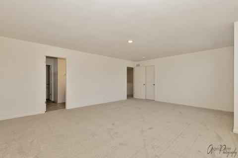 165 Hibiscus Ln, Elgin, IL 60124 photo 22