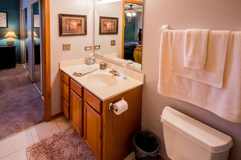 6845 Forestview Dr #3D, Oak Forest, IL 60452 photo 27