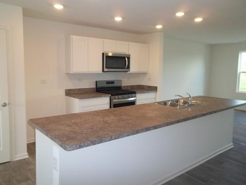 3818 Honeysuckle Ln, Elgin, IL 60124 photo 4