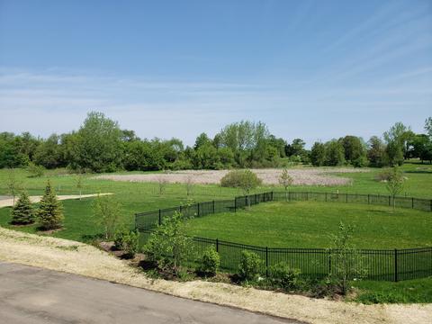 3818 Honeysuckle Ln, Elgin, IL 60124 photo 25