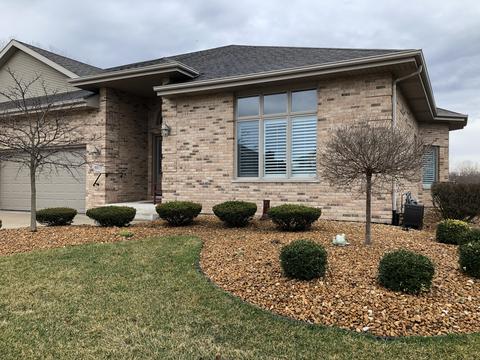 9075 Arbour Walk Dr, Frankfort, IL 60423 photo 1