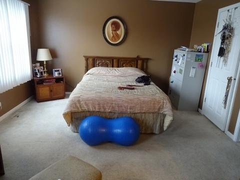 1440 Joyce Dr, Flossmoor, IL 60422 photo 8