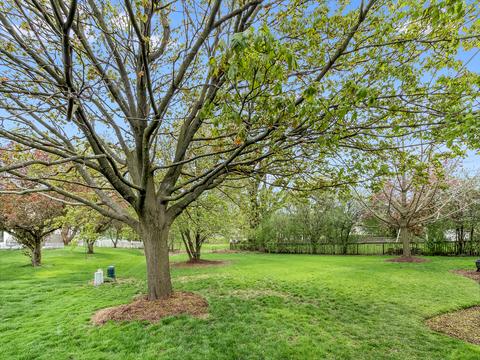 502 Chippewa Dr, Naperville, IL 60563 photo 36