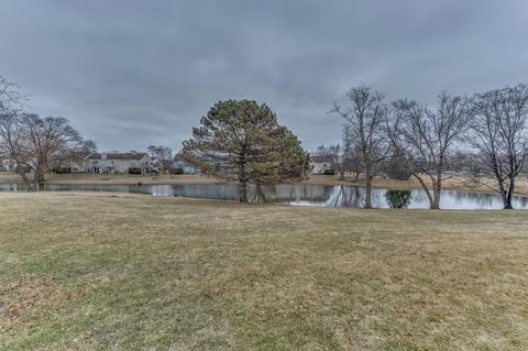 1335 S Paddock Dr, Wheeling, IL 60090 photo 30