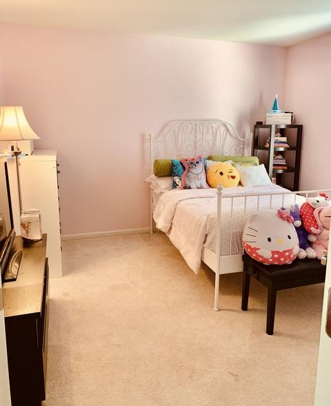 6060 Irene Dr, Hoffman Estates, IL 60192 photo 24