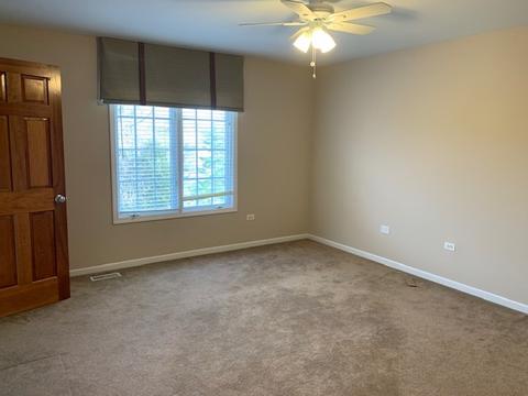 3911 Callander Ct, Naperville, IL 60564 photo 23