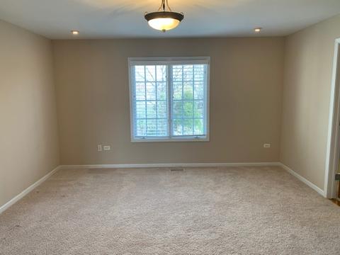 3911 Callander Ct, Naperville, IL 60564 photo 16