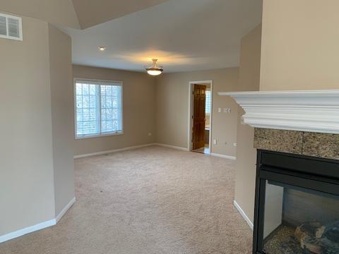 3911 Callander Ct, Naperville, IL 60564 photo 15