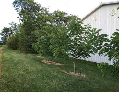 5018 S Freeport Rd, Polo, IL 61064 photo 22
