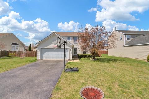 1205 Bridge Hampton Dr, Plainfield, IL 60544 photo 1