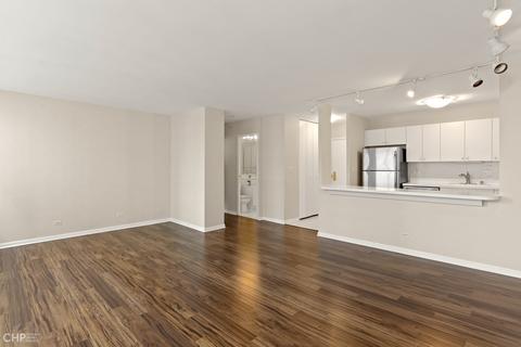 33 E Cedar St #11B, Chicago, IL 60611 photo 5