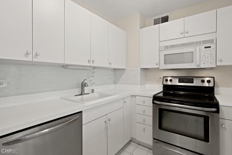 33 E Cedar St #11B, Chicago, IL 60611 photo 10