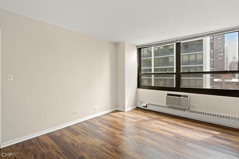33 E Cedar St #11B, Chicago, IL 60611 photo 14