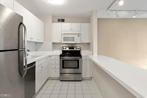 33 E Cedar St #11B, Chicago, IL 60611 photo 9