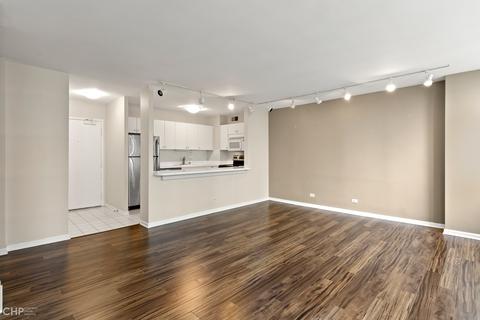 33 E Cedar St #11B, Chicago, IL 60611 photo 6