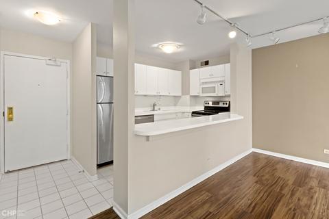 33 E Cedar St #11B, Chicago, IL 60611 photo 8