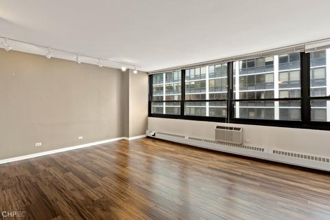 33 E Cedar St #11B, Chicago, IL 60611 photo 4