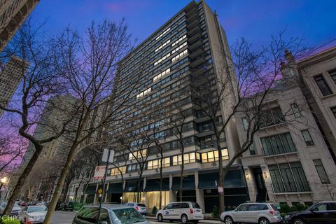33 E Cedar St #11B, Chicago, IL 60611 photo 18