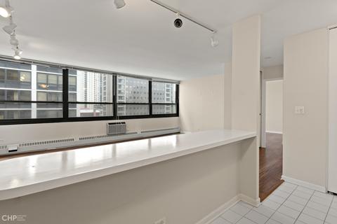 33 E Cedar St #11B, Chicago, IL 60611 photo 11