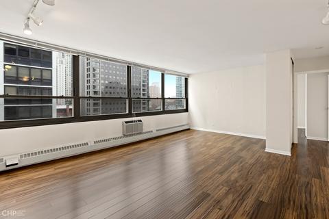 33 E Cedar St #11B, Chicago, IL 60611 photo 3