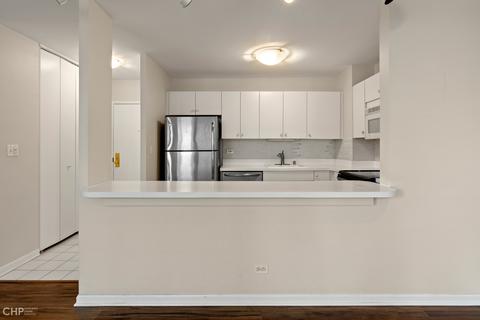 33 E Cedar St #11B, Chicago, IL 60611 photo 7