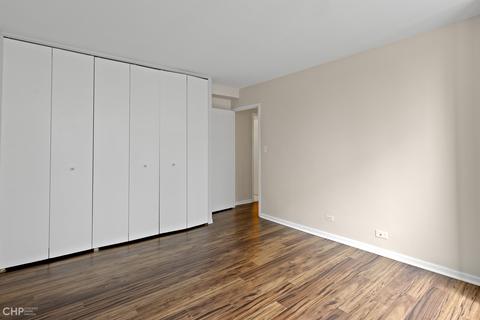 33 E Cedar St #11B, Chicago, IL 60611 photo 16