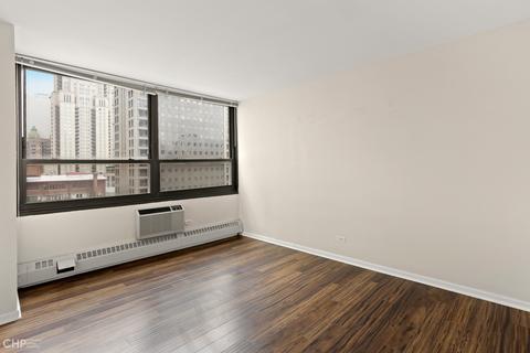 33 E Cedar St #11B, Chicago, IL 60611 photo 15