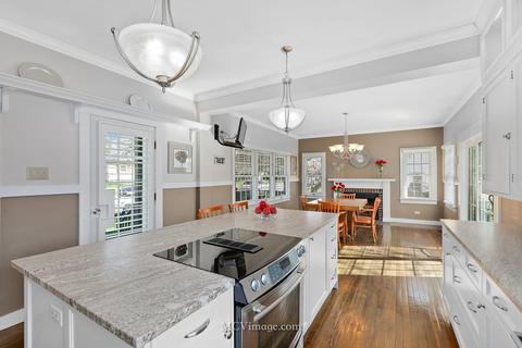 228 S Main St, Lemont, IL 60439 photo 14