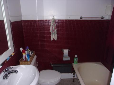 7809 S Phillips Ave, Chicago, IL 60649 photo 14