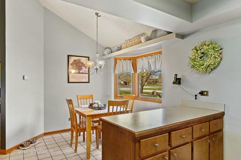 272 Miller St, Beecher, IL 60401 photo 14