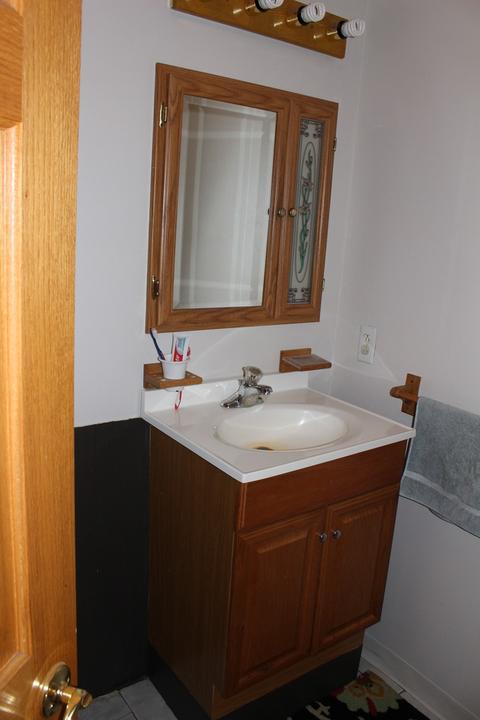 424 Cayuga St, Joliet, IL 60432 photo 17